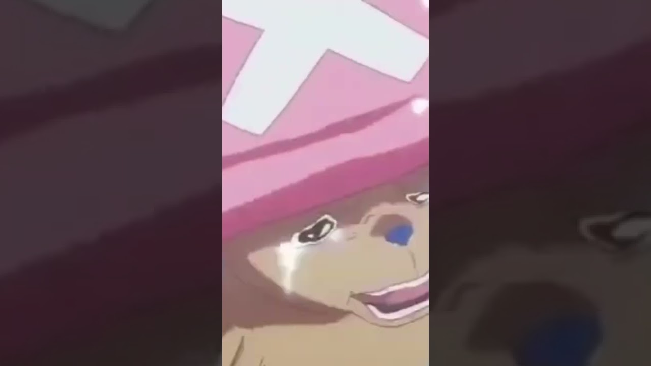 THE ONE PIECE IS REAL | Can we get much higher? So high!!!