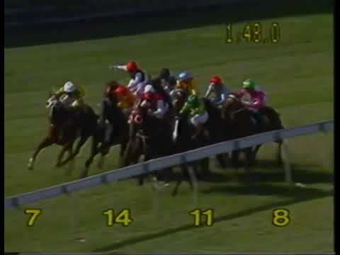 Super Impose - Cox Plate 2040m Group 1 1992