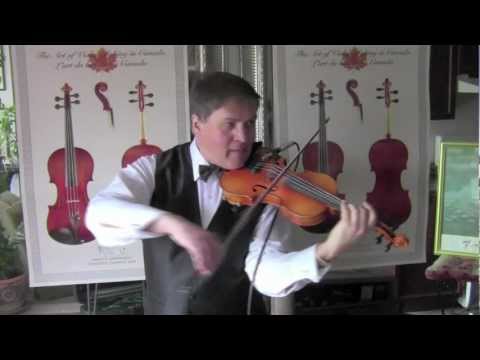 Serguei Tchepournov - Fire Dance - Gypsy Music Violin