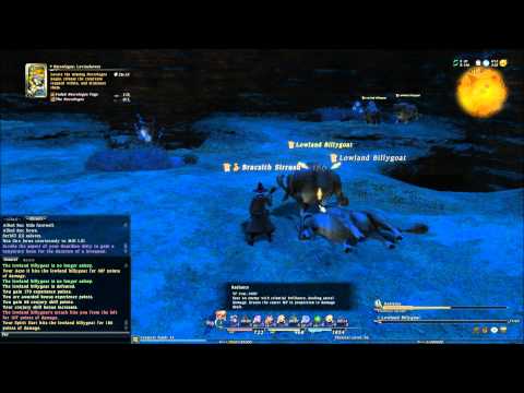 FFXIV Battlecraft Levequest: Necrologos: Levinshower
