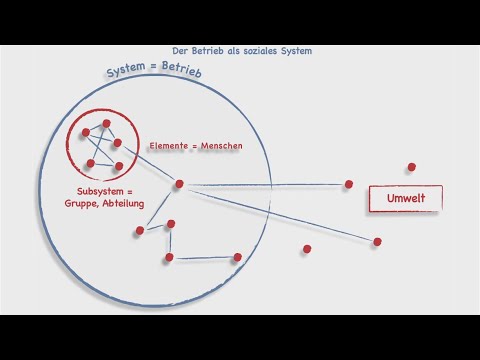 Der Betrieb als Soziales System