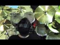 SKA-P - Fuego y Miedo Drum Cover 