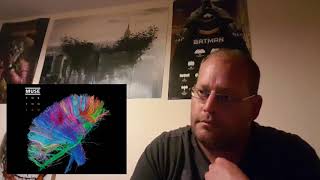 Muse - Save Me Song Reaction