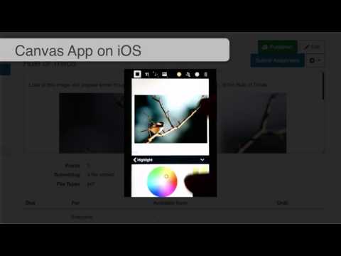 Canvas Mobile App Ios Student Annotations