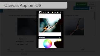 Canvas Mobile App (iOS) Student Annotations