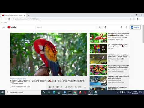Mikrotik Router - How to use Torch (Traffic monitoring tool)