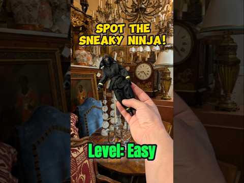 Hidden in Time #SneakyNinja #HiddenChallenge #SpotTheNinja #SeekAndSpot #VintageVibes #Game #Puzzle