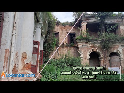 देउवा र गगनले पढेको त्रिचन्द्र कलेजको बेहाल– मक्किएको भवनले कुनबेला च्याप्ने हो भन्ने त्रास [भिडियो]