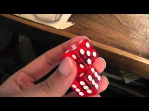 haley checks out my new trick dice!