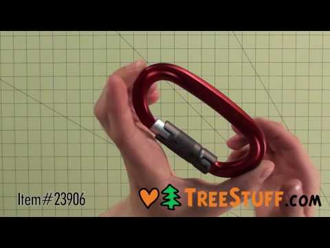 YouTube Thumbnail k6ZOTywONVI