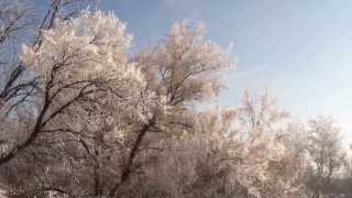 preview picture of video 'Hoar frost alongside the Colorado River in Grand Junction'