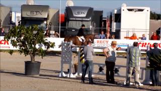 preview picture of video '2013-06-14 Stallion DOREE give Supershow at CSI** Vlamertinge Belgium'