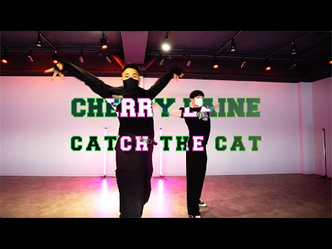 ( Cherry Laine -- Catch The Cat ) HONGPRO WAACKING