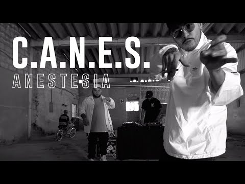 Anestesia - C.A.N.E.S. (Video Oficial)