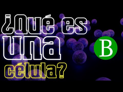 ¿Qué es una célula? | Biología Desde Cero