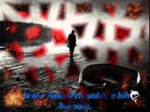 X plane feat Tux -Srce koje voli