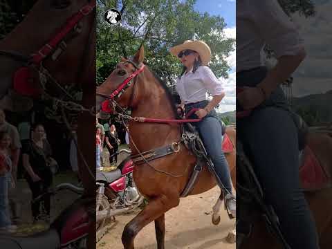 🐴Beautiful Woman on her horse 🇨🇴 #ladiesandhorses #cowgirl #Teruel #huila #colombia