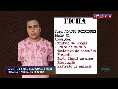 PoliÌcia Militar prende criminoso portando 2kg de cocaiÌna e 200 galos de briga 16 09 2020