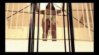 Another Song About the Darkness - Lauren Hoffman