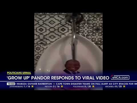Politicians urinal Pandor responds to viral video