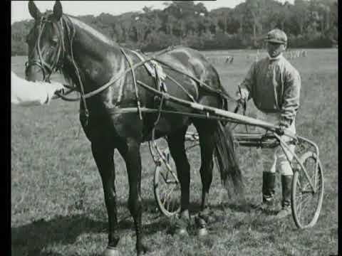 Racing on duindigt, Championship of the Netherlands (Weeknummer 23-17) 🔴