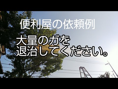 蛾:拡散光害よりも月の方が重要