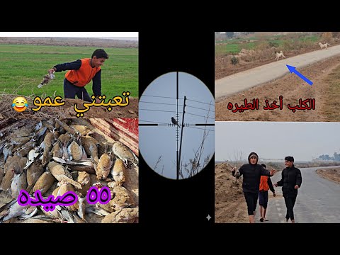 أول مرة أجرب الرمي بالـ P15… ما ضيعت ولا طلقة وصيد 55 طير دلم!