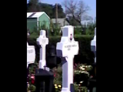 dracucentralist .[nicusor dracosu]