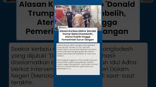 Alasan Kerbau Albino 'Donald Trump' Batal Disembelih, Atensi Publik hingga Pemerintah Turun Tangan
