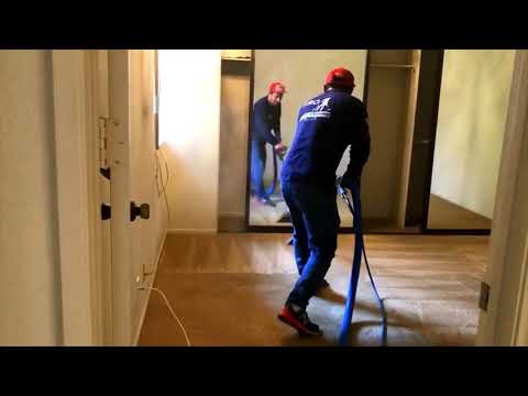 Magnolias Maids video.