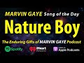 Marvin Gaye Nature Boy