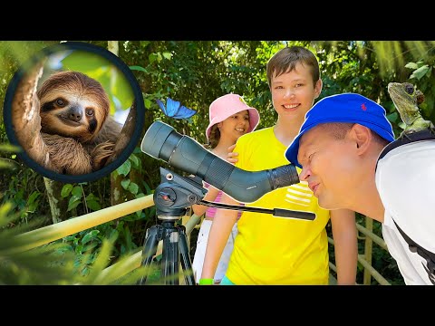 24 часа ищем Ленивцев на Коста Рика