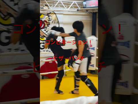 [キックボクシング　トレーニング　格闘技] コンビネーション！　ヒザ→パンチ　#キックボクシング #トレーニング #格闘技