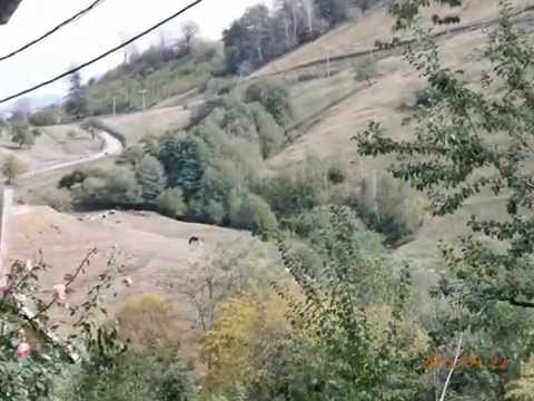 MANASTIREA AFTEIA(CIOARA)