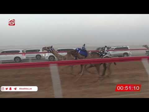 ش 2 (شاهين) لـ علي سالم العامري 2:5 ، شارة الصندوق 2026/07/02 الروضة فطامين