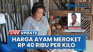 Jelang Nataru, Harga Daging Ayam di Tangerang Banten Meroket Tembus Rp40 Ribu per Kilogram