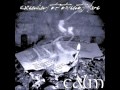 Calm - A Whisper Remains 