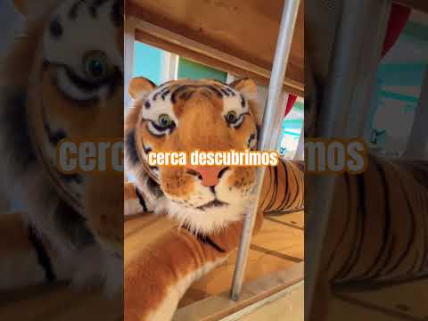 No es real. #motivacion #crecimientopersonal #autoestima #mentepositiva #leon #abundancia