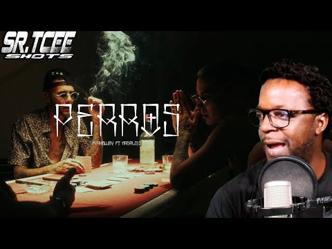 REACCION a FYAHBWOY x NADAL015 - PERROS