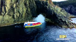 Bruny Island Cruises in 60 Seconds