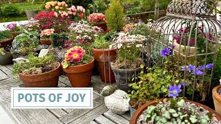 Creating a Spring Garden Tablescape, Patio Décor, Miniature Container Gardening // Cottoverdi