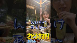 【さとうさおり】自分ネタでスマソ「バリ島にて」の お話　さとうさおりって どんな人？【切り抜き】（2025年2月16日　減税党 松本ゆうた チャンネル  インドネシア到着配信 ）