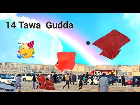 Basant 2023- 12 Tawa Gudda- Sara Gudda Kharab- Patang Bazi In Saudia Arabia