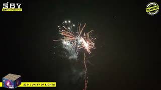 *Straatvideo*  Unity of Lights - Evolution Fireworks - GBV WECO - Vuurwerk.nl - 2311