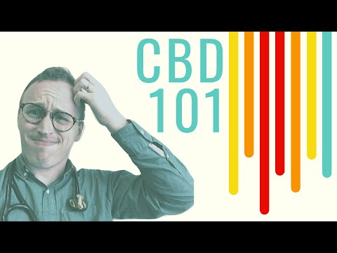 CBD Oil 101: Doctor Explains for ABSOLUTE beginners