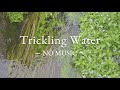 NO MUSIC 3 HRS Gentle Water Sounds Trickling Water Water ASMR Flowing Water