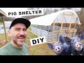 How To BUILD A PIG SHELTER Small Scale COST
