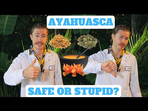 How Does Ayahuasca Work?