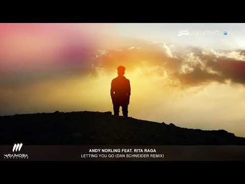Andy Norling feat. Rita Raga - Letting You Go (Dan Schneider Remix) [As Played on UpOnly 238]
