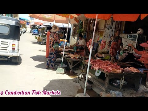 Morning Fish Market Tour in Khan Russey Keo-Phnom Penh-Cambodia [Cambodian Fish Markets]